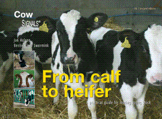 Calf to Heifer